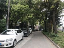 龙华·海波花苑·1室·1厅