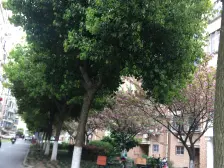 两房朝南,交通便利,采光充足,居家装修,带阁楼,南北通透,近商圈