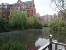 出租中的洋房二楼,空间大,户型好,出行方便诚心卖。