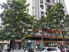 南坪 商业大楼(南坪)一房56万