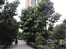 兴茂盛世北辰B区 4室2厅 东南