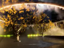 一梯两户,南北通透,环境优美,近地铁,精装好房