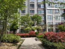 交通便捷 临地铁 高楼层采光充足 正南朝向 双卫格局 满二