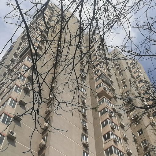 金顶街五区2室1厅1卫南朝向5200.00元/月出租
