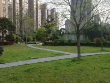 无Light rail sound 位置middle 看房提前约 诚意出售