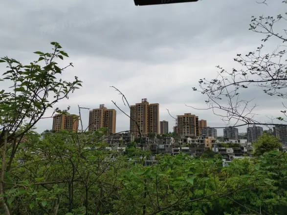 大鼎湖滨丽景