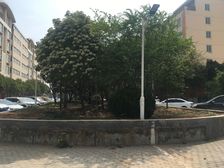 此房满五年全款房户型方正格局看房方便,毛坯