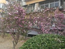 金顶街四区两室两厅户型,近地铁,出行方便。