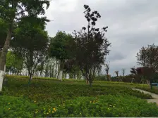 汽博商圈 刚需小户 临湖近地铁 家具家电齐全 拎包入住