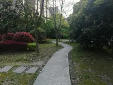 装修很好丨业主诚意出售丨俯瞰佘山别墅区鼎豪丨嗷嗷叫