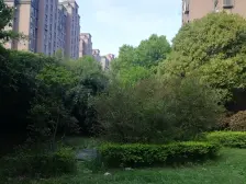 房东上门挂牌,诚心出售,中间楼层,精装修,拎包入住