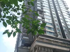 南坪 江南明珠四房