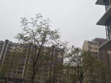 榆垡新城嘉园D区3室2厅南北