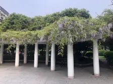 大华 · 怡华苑 · 1室 · 1厅