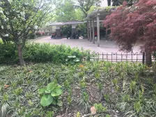 管弄四街坊1室东朝向205.00万元/套出售