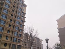 榆垡新城嘉园B区1室0厅南