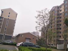 榆垡新城嘉园D区1室1厅南