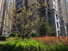 香橙高档小区三居室,楼层好,采光好.人车分