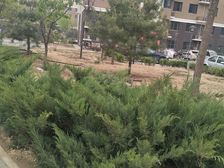 大兴机场空港·榆垡新城嘉园B区·1室·1厅