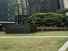 两江国际 1室1厅 西