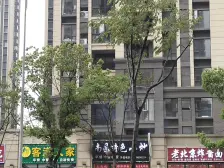 正荣学府壹号(正荣润园) 南北通透,采光好 视野好,诚心出售