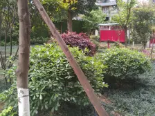 劳动路 国盛三千城一房61万