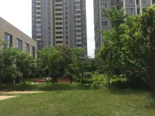 九洲天虹旁 美式精装三房 可拎包入住