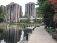 凤凰湾纯水岸 4室2厅 南