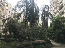 加州新牌坊龙珠花园三房