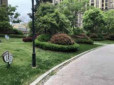 康桥溪岸花园,带装修四房,电梯房,车位可谈,拎包住,配套齐全