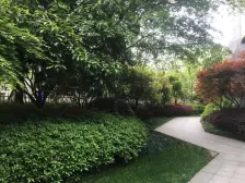 朝阳江上院 南北通透,采光好 装修好,环镜优美 视野好,诚心出售