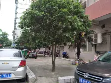 视野开阔南北通透户型居住舒适度高可利用空间大景观房