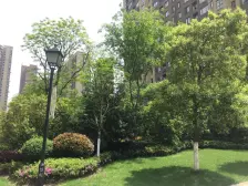 国贸阳光 精装小高层 户型方正