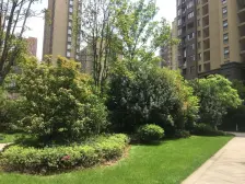 国贸阳光 南北通透,采光好 装修好,环镜优美 中间楼层