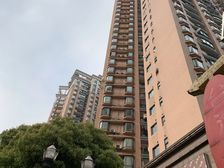 打浦桥板块 电梯房 南北通户型