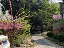 新上三楼,满五年v一, 采光视野佳 业主诚意出售