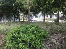 闵浦新苑一村1室南朝向155.00万元/套出售