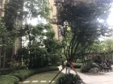 正看公园 环境舒适 大两房