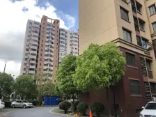 小区绿化好交通便利看房方便房型正气