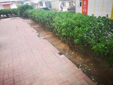 西安路公寓 2室2厅 南 北