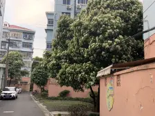 红旗四街坊 3室2厅 南 北
