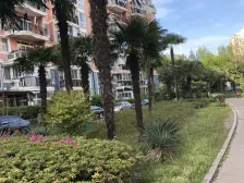 南北通透,全明户型,电梯大复式,三个大露台,采光好