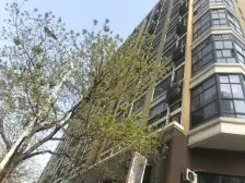 平江新城 双悦大厦 复式5米挑高 民用水电 商住两用