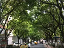 古北新城四期飞机户型,位置安静,南北通,诚意出售