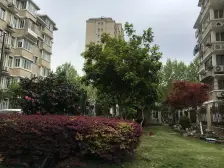 金虹桥振宏苑 2室1厅 南