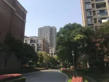 工业园,东沙湖九龙仓繁华里,4室2厅,毛坯未动,有车位