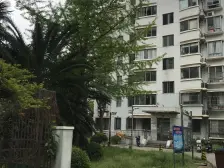 霍兰公寓 3室1厅 南