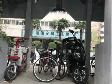 会当凌绝顶,一览众山小!高区景观,户型正气,非顶楼