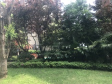 纯洋房小区,1梯4户,诚心卖。随时看房。