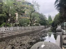 1992年两房|高视野采光给力|电梯房+地铁|近环球港